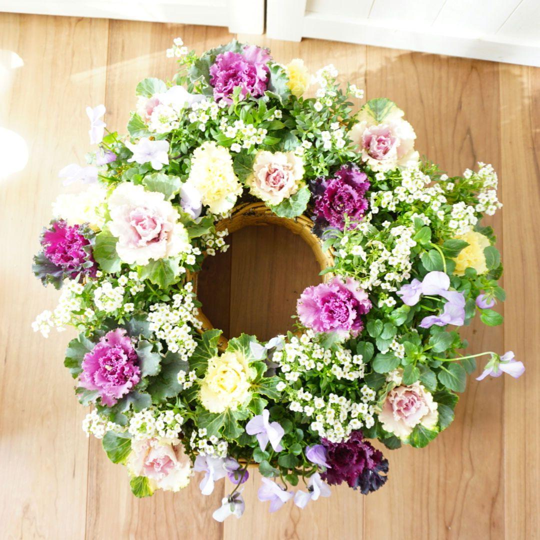 『葉牡丹と小花のロマンティックリース』寄せ植え　ハンギングリース　リース　花