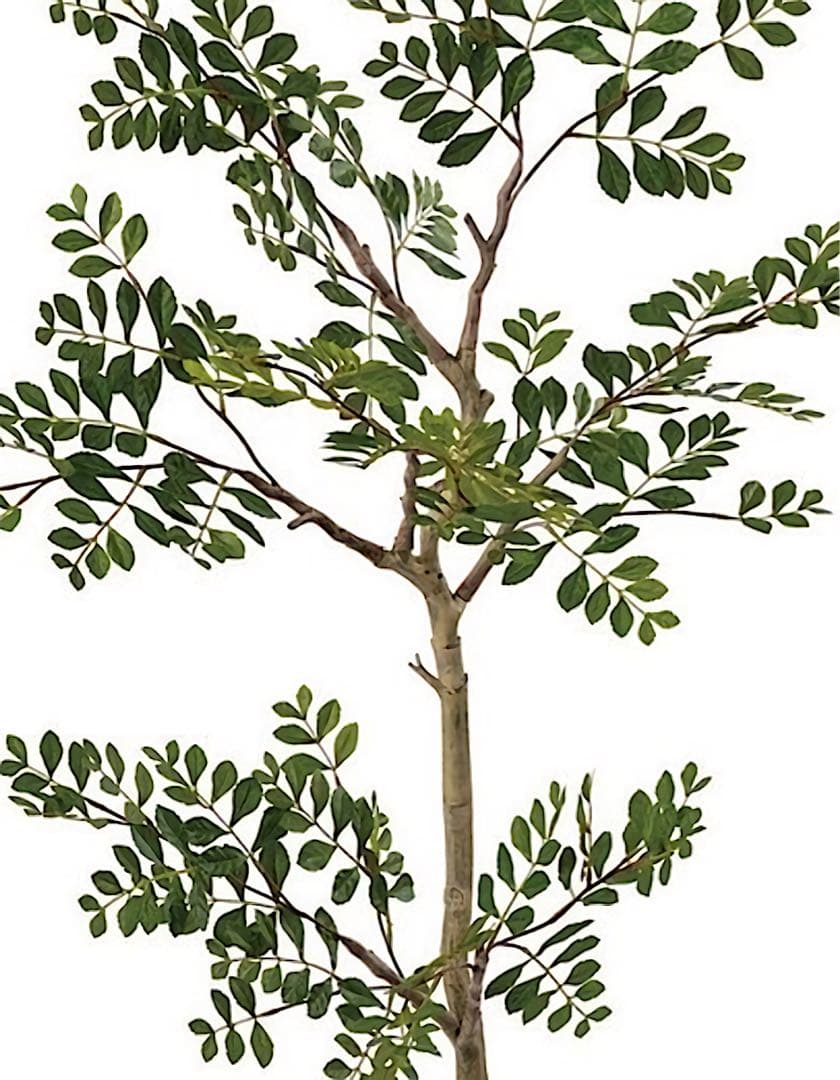 光触媒　人工観葉植物　ウォールグリーン　フェイクグリーン　ジョイントトネリコj