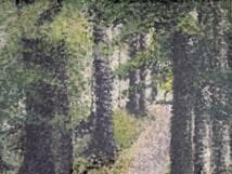 【真作】絵画　藤田真紀　油彩10号　風景（旧軽井沢）　静謐な自然美　X90