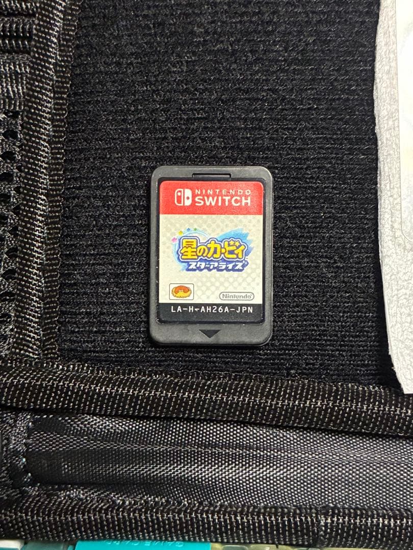 Nintendo Switch Lite本体　スターアライズ　ケース付き