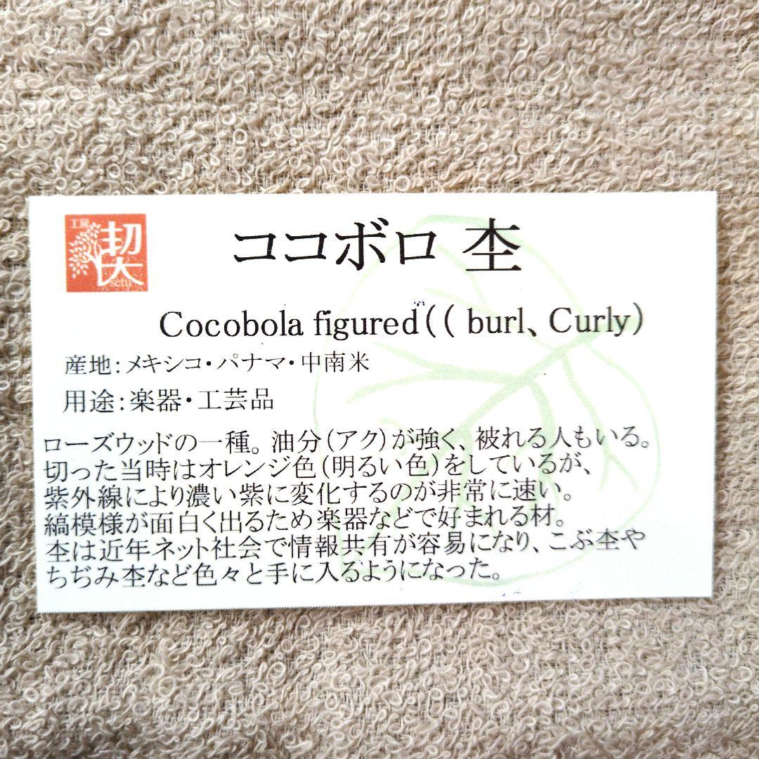 工房楔　ココボロ瘤　ボールペン　新宿個展作品