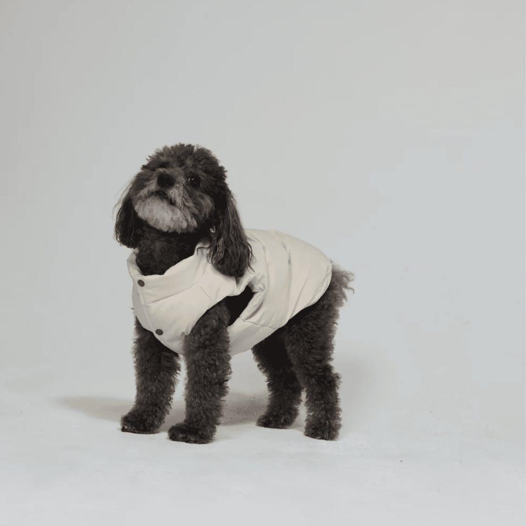MAX BONE ARABELLA PUFFER VEST 犬用　ダウン