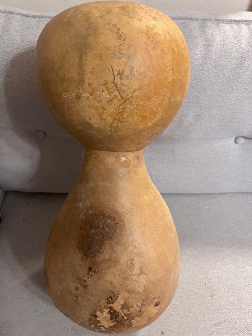 イプヘケ　艶なし　50cm 新品　ハワイ直輸入