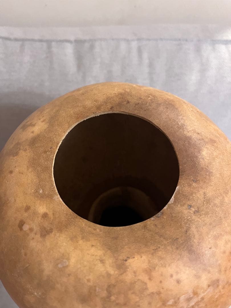 イプヘケ　艶なし　50cm 新品　ハワイ直輸入