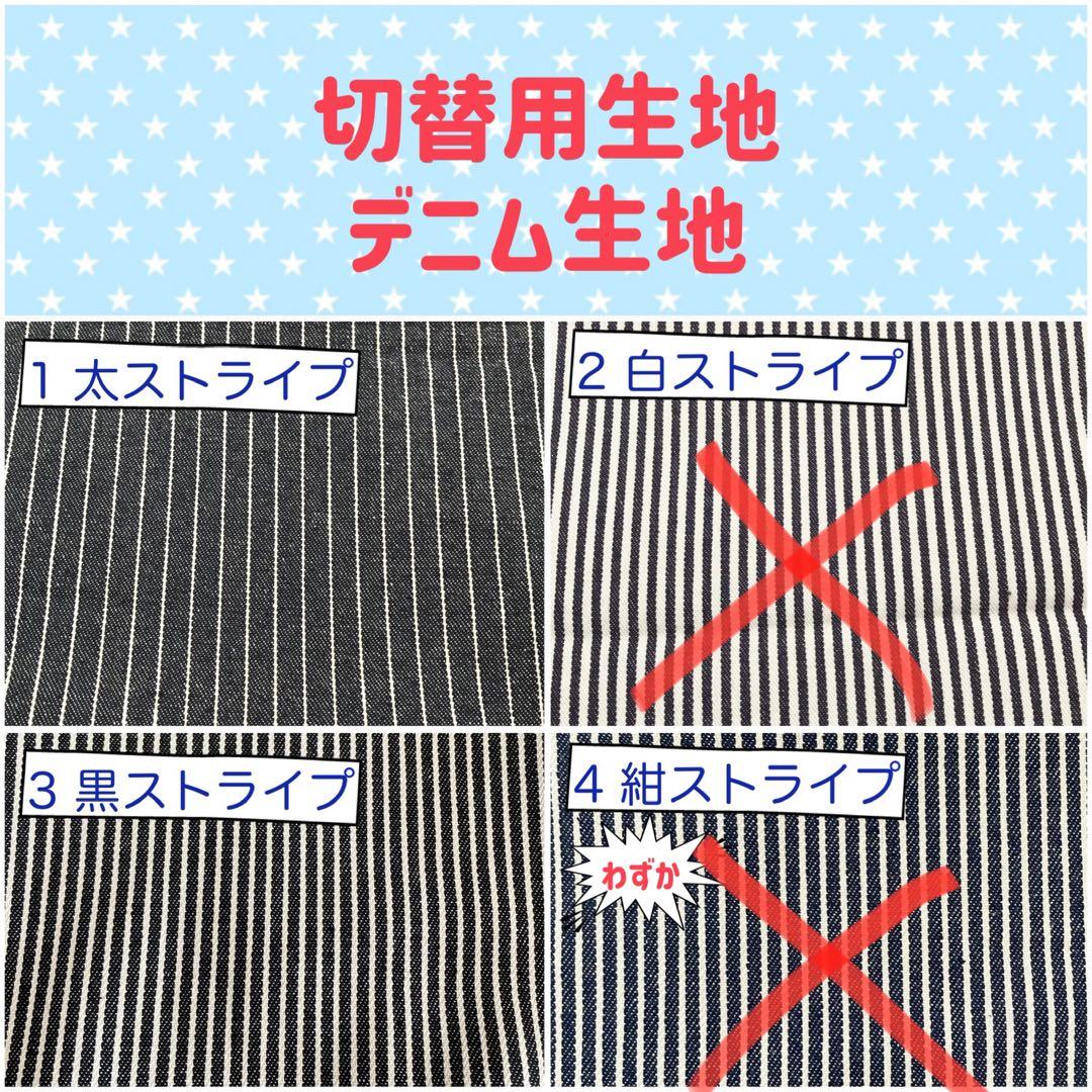 入園 入学 ☆レッスンバッグ　オーダー 受注注文 男の子　《海　魚　シャチ》