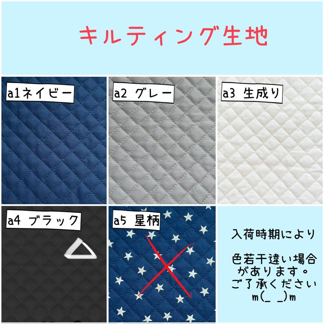 入園 入学 ☆レッスンバッグ　オーダー 受注注文 男の子　《海　魚　シャチ》