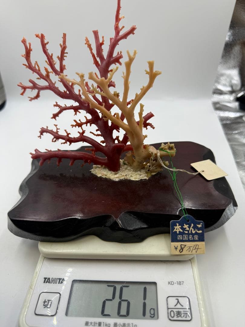 珊瑚の置物