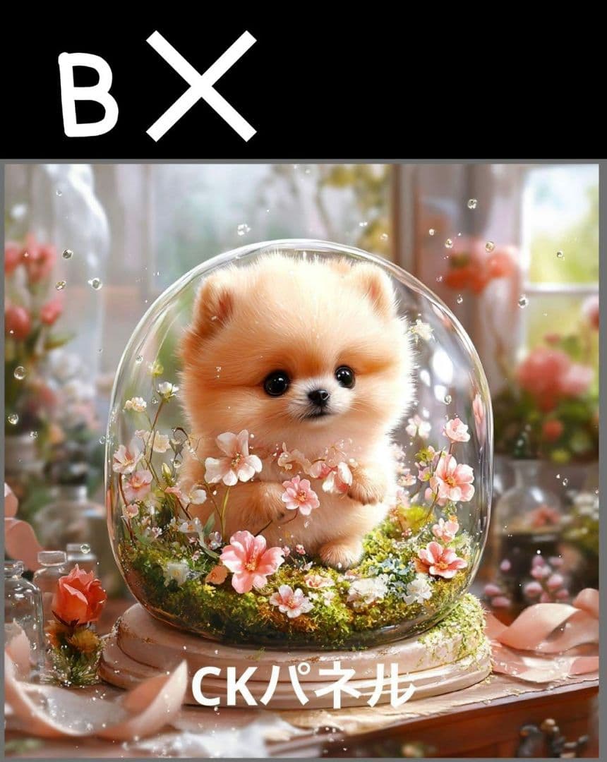 オーダー受付　ポメラニアン　ご予約ページ　10/8