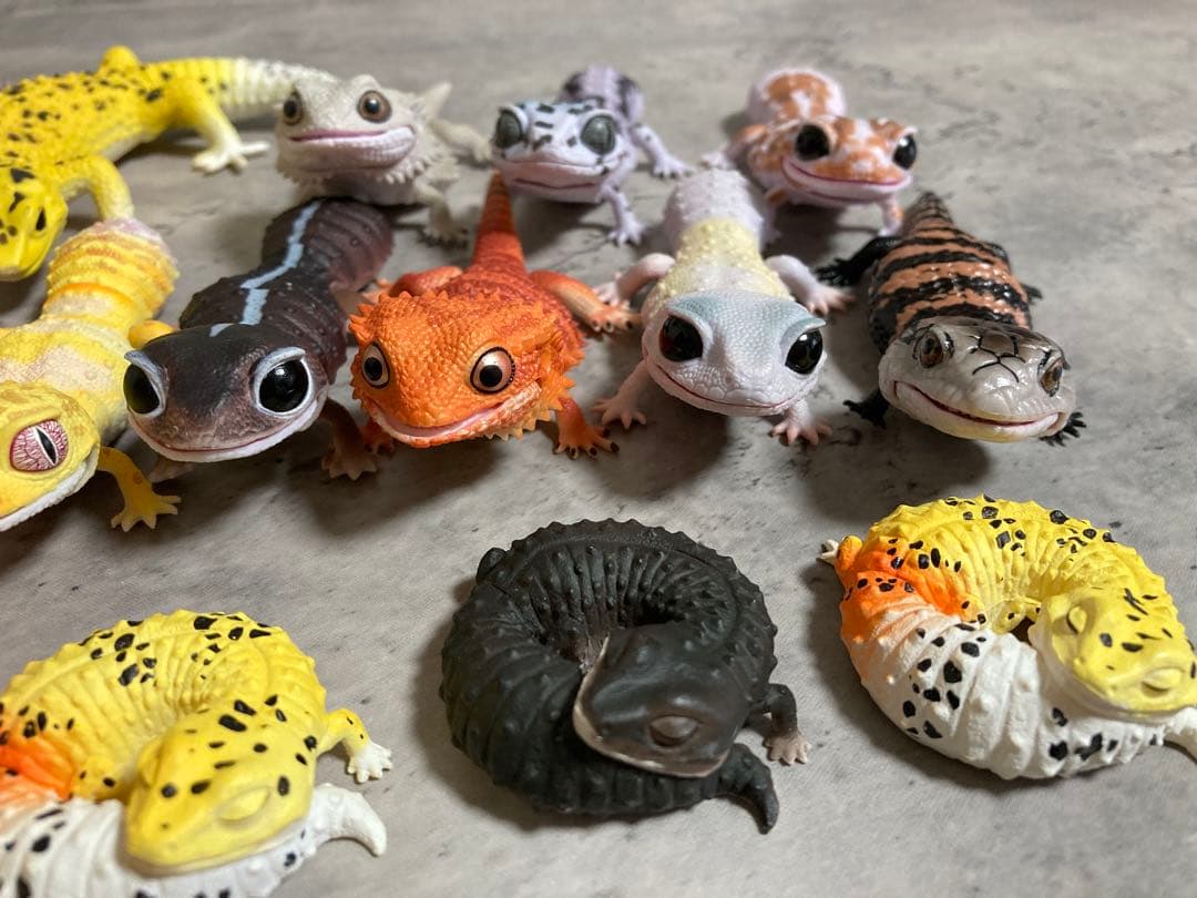 【単品購入⭕️】爬虫類/トカゲ まとめ売り