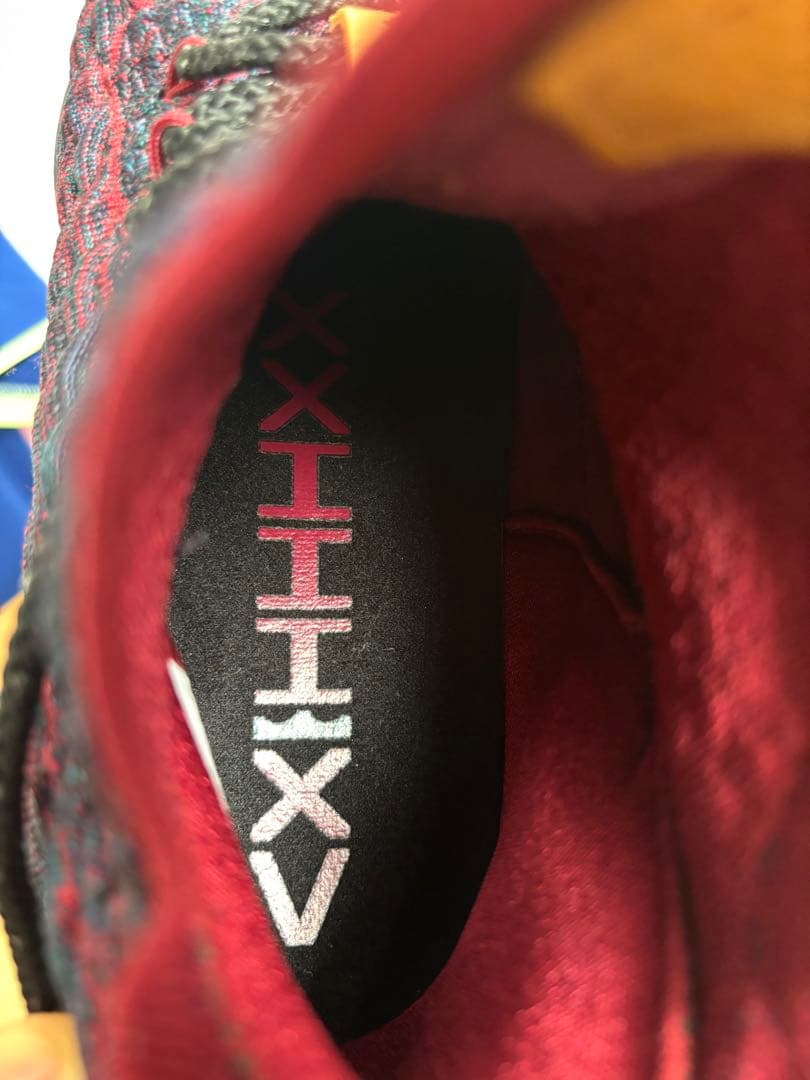 NIKE Lebron 15 28.0 りき出品