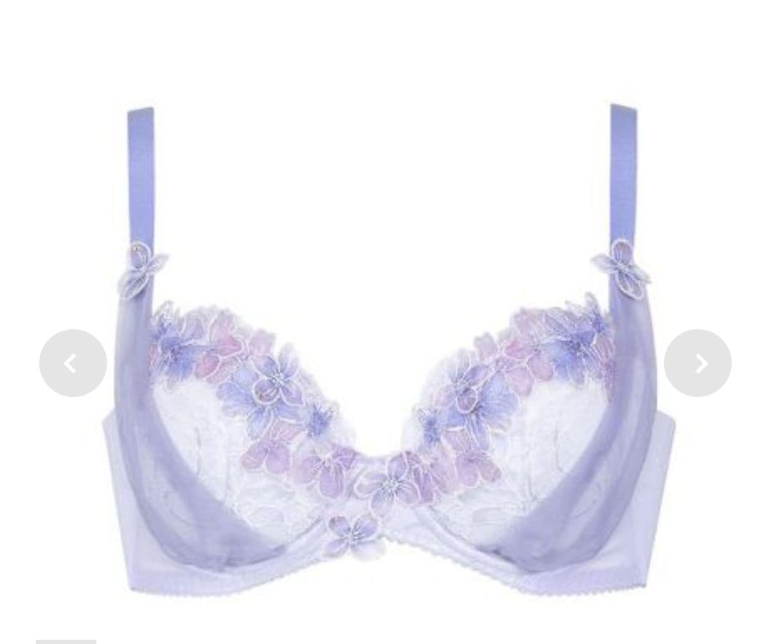 Wacoal PARFAGE 重力に負けないバストケアBra ショーツ2枚