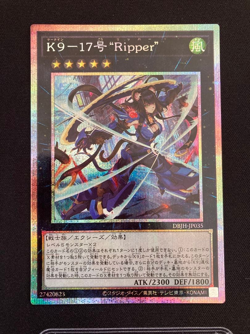 K9-17号 \