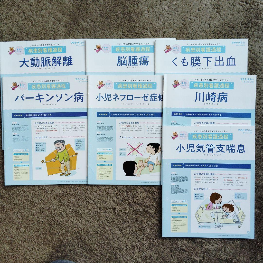 プチナース　疾患別看護過程　老年看護過程