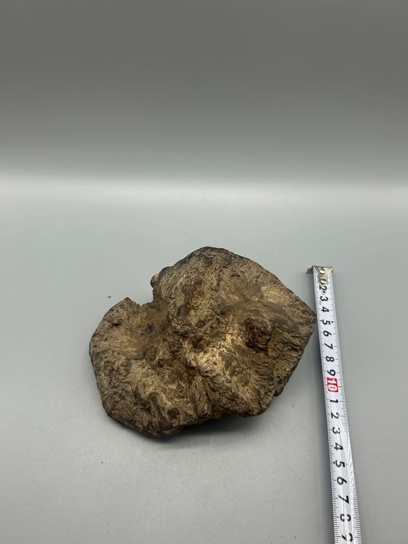 【骨董】鑑賞石