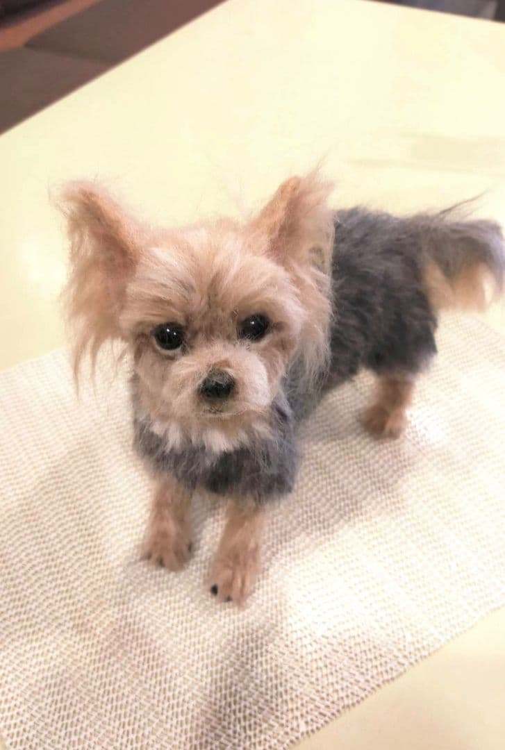 羊毛フェルト　ハンドメイド　犬　ヨークシャテリア