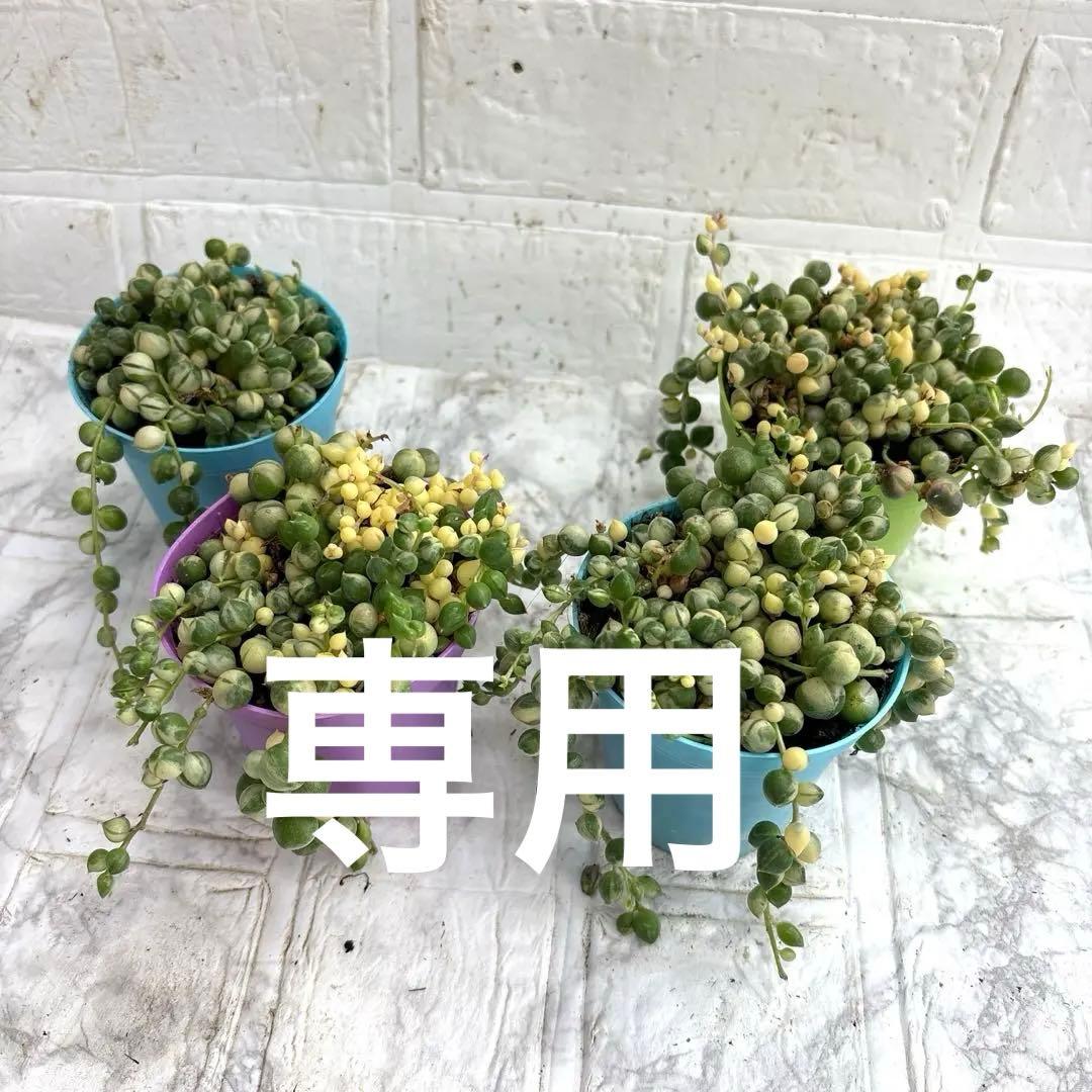 可愛い♡マーブルネックレス4個♡2.5号♡メルカリ便で