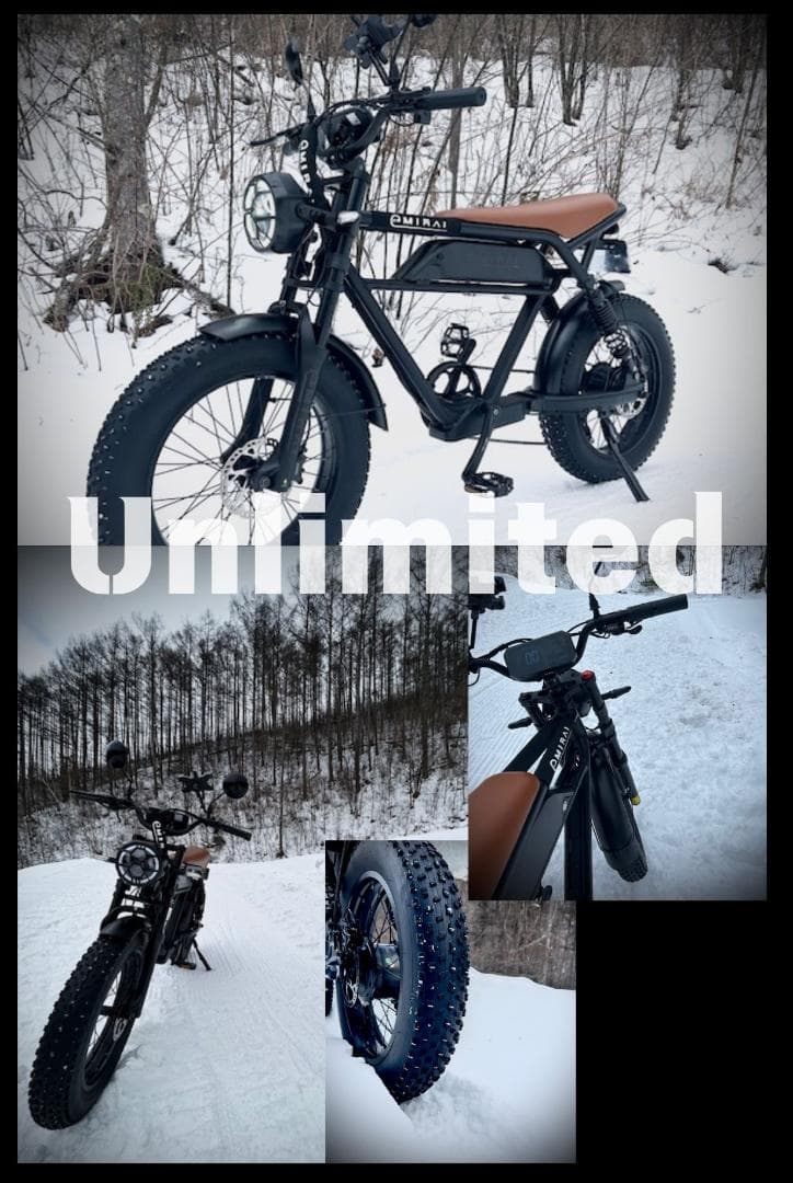 日本イープラスミライ電動アシスト自転車 ファットタイヤ 「RHINO」展示品限定