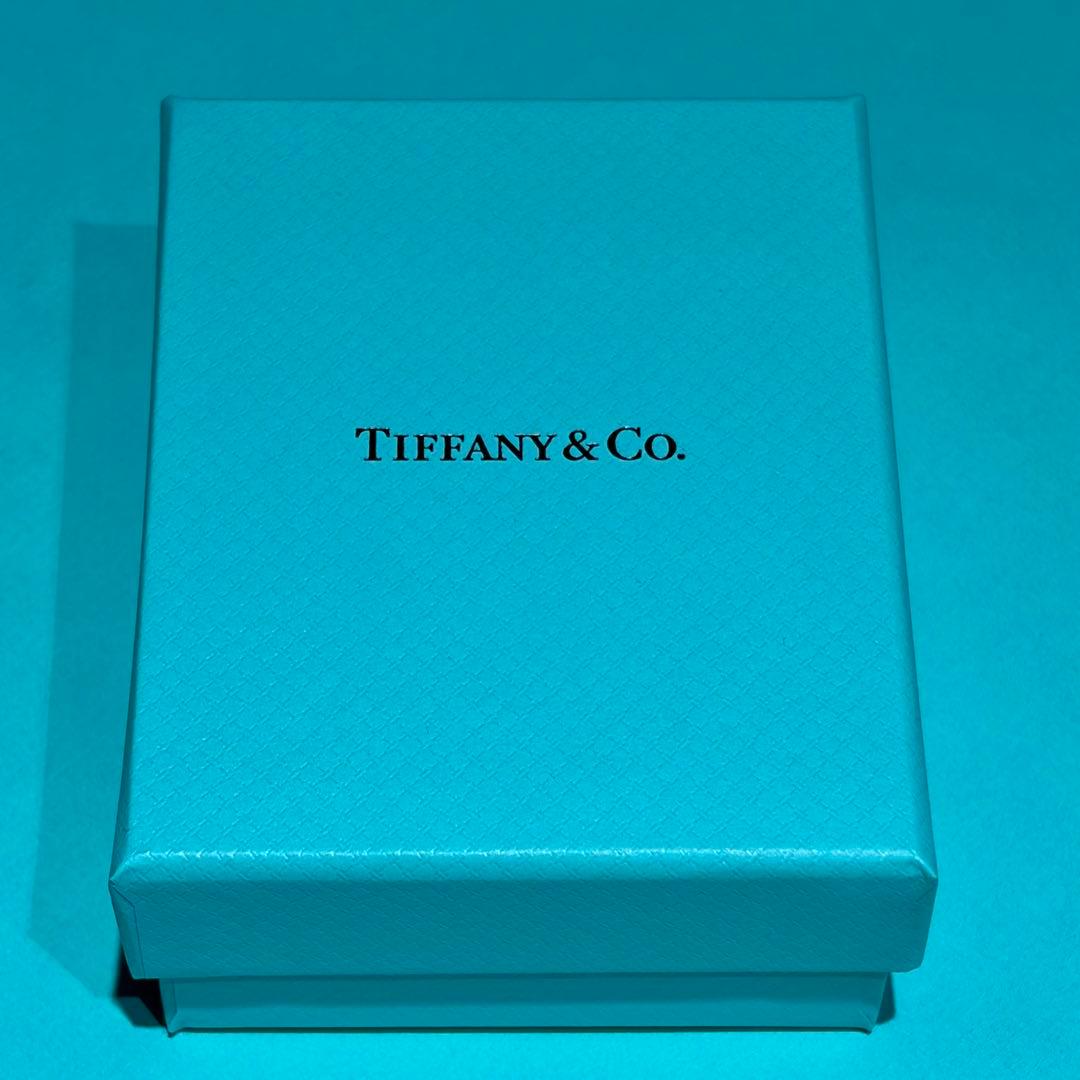 【ioonom】Tiffany & Co. シルバーブレスレット