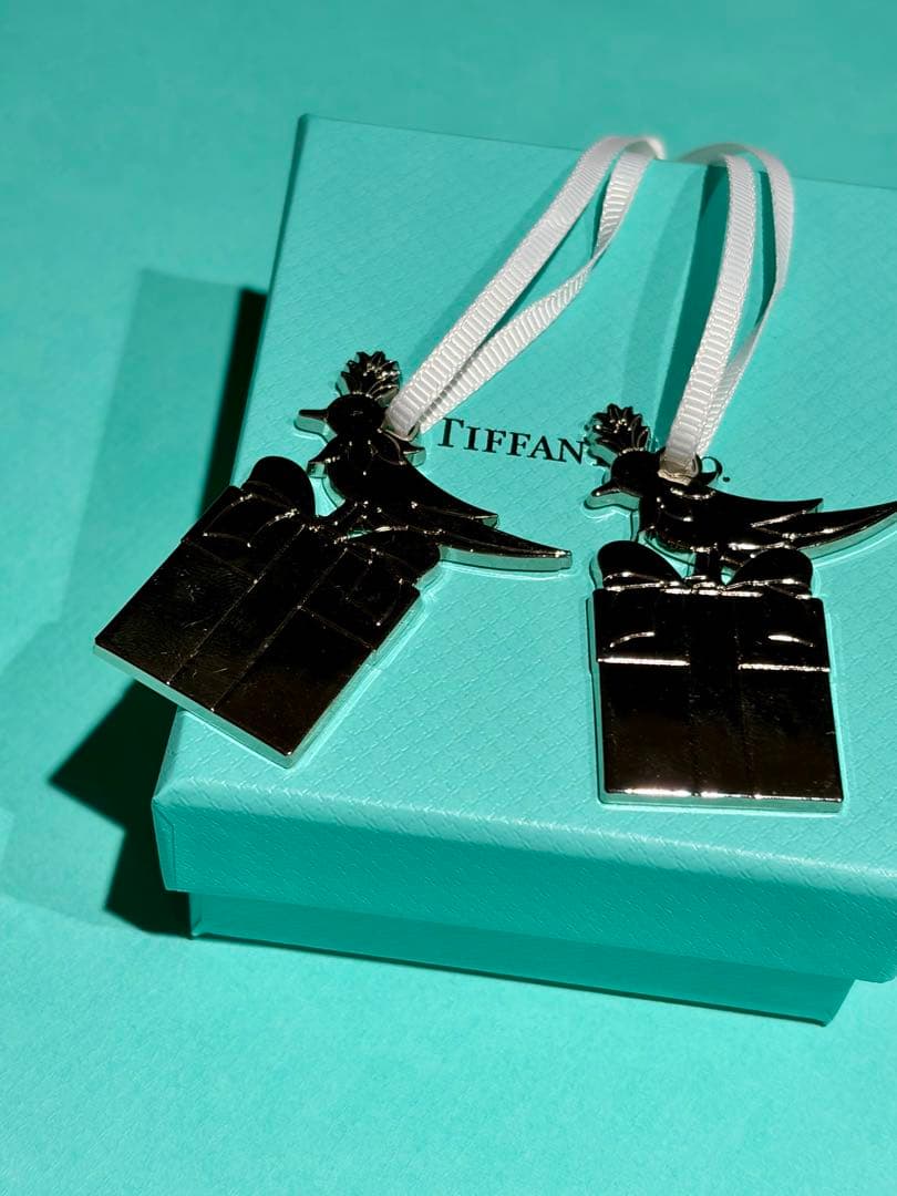 【ioonom】Tiffany & Co. シルバーブレスレット