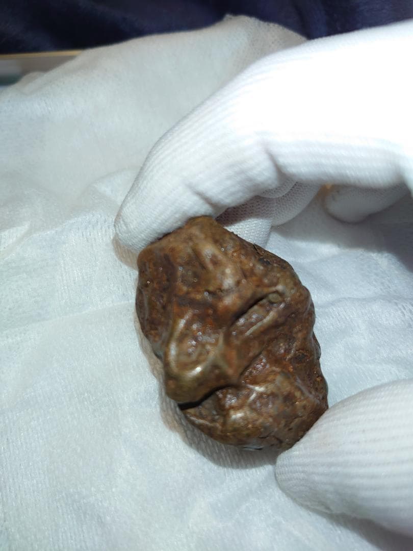 隕石 Sijoté-Alín. 189gr.