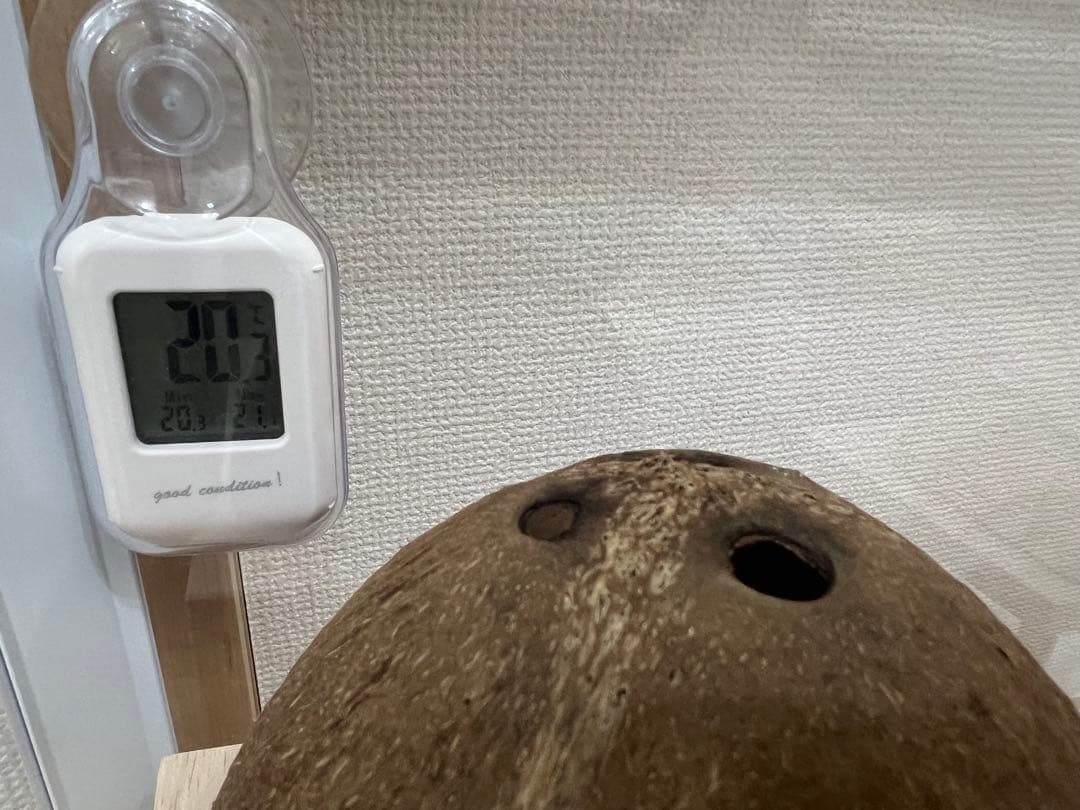 BUCATSTATE800用レイアウト小物セット ハムスター