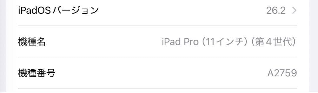 『はまさん専用』iPadPro + ApplePencil
