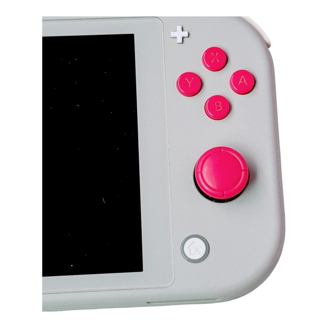 Nintendo Switch Lite ザシアン・ザマゼンダ