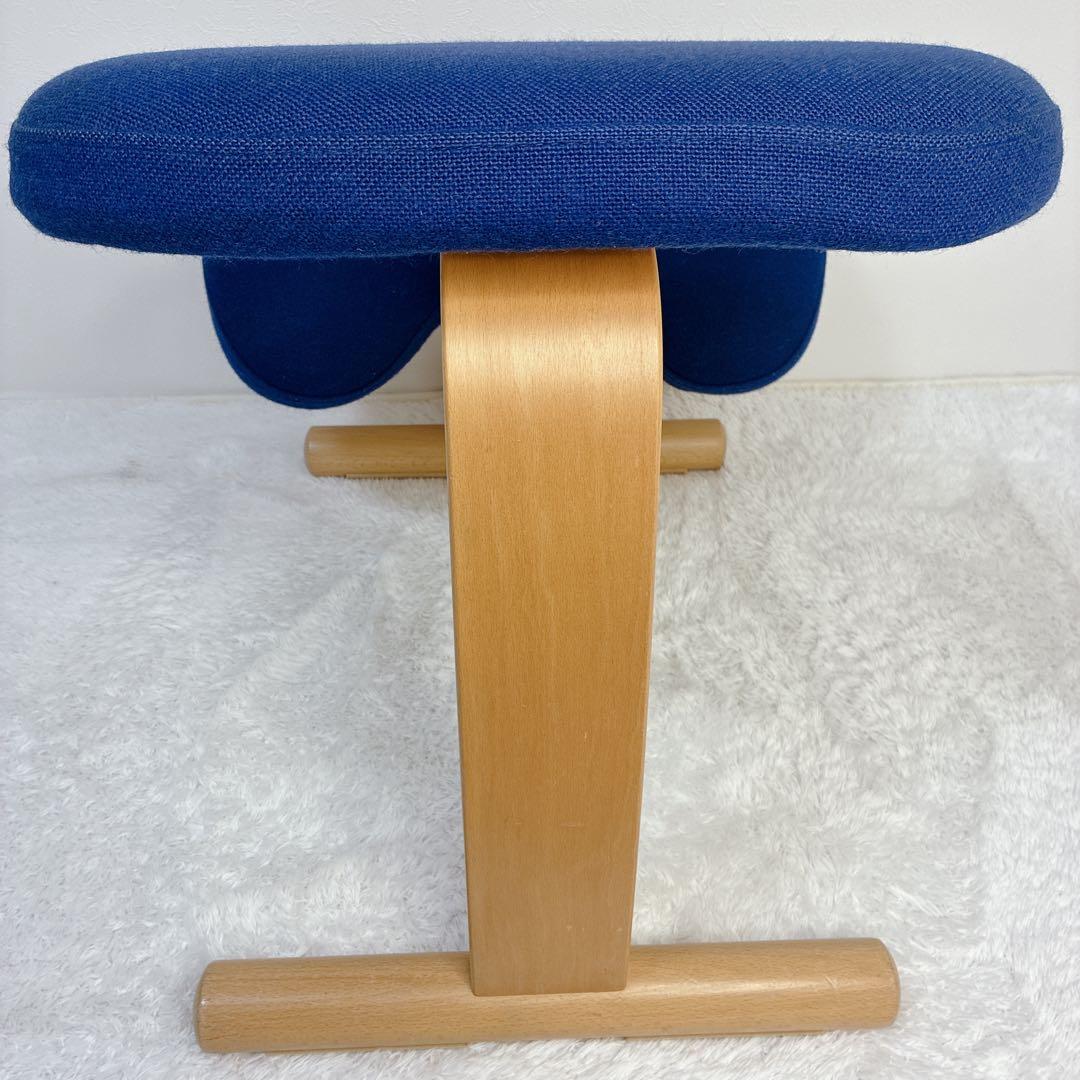 【極美品】 バランスイージー 通常フレーム 防水カバー付き ブルー