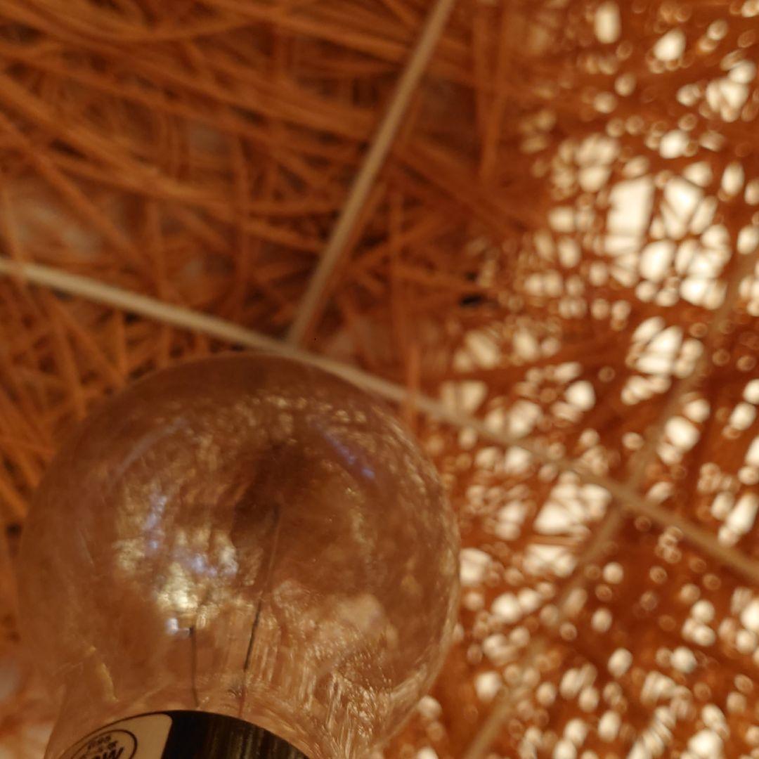 フロアライト　間接照明　アートワークスタジオ　未使用鳥の巣