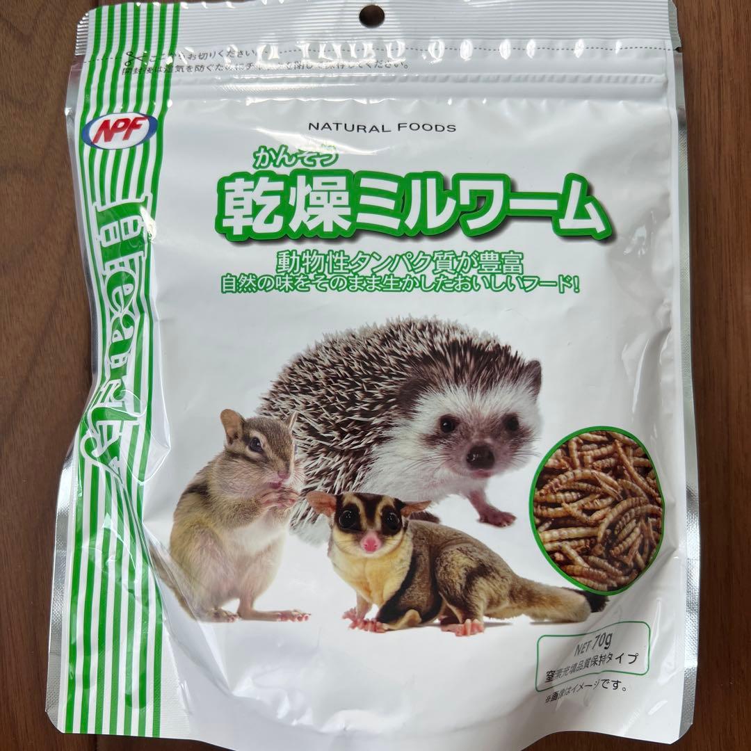 ハリネズミグッズセット