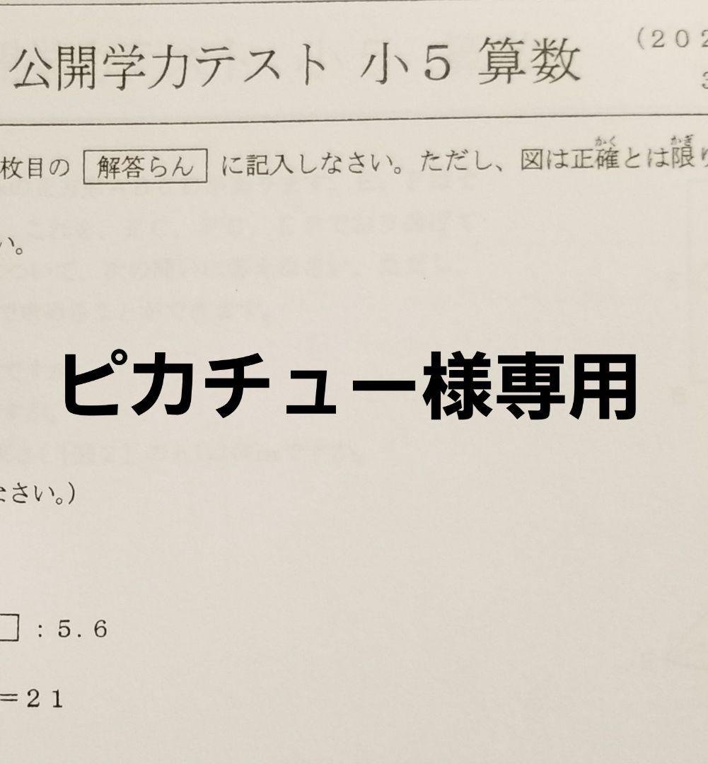 ピカチュー
