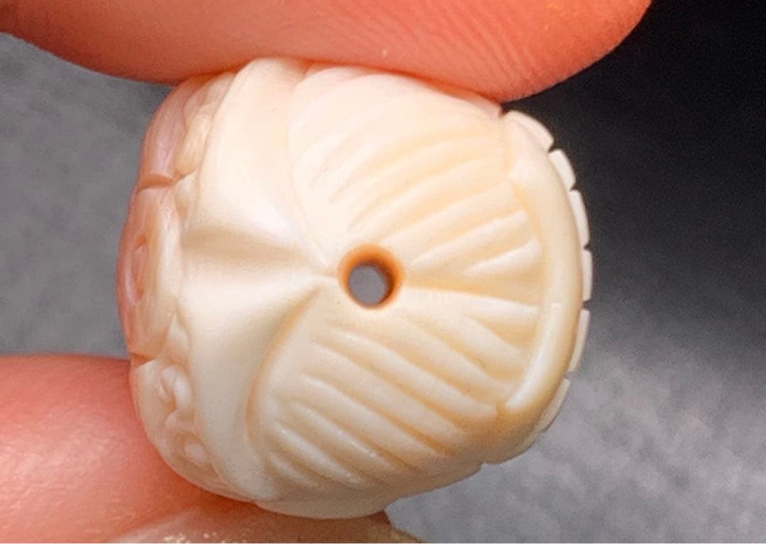 071190 一点限定❗️天然コンクシェルザキラム、貫通穴、14.3＊22.1ミリ