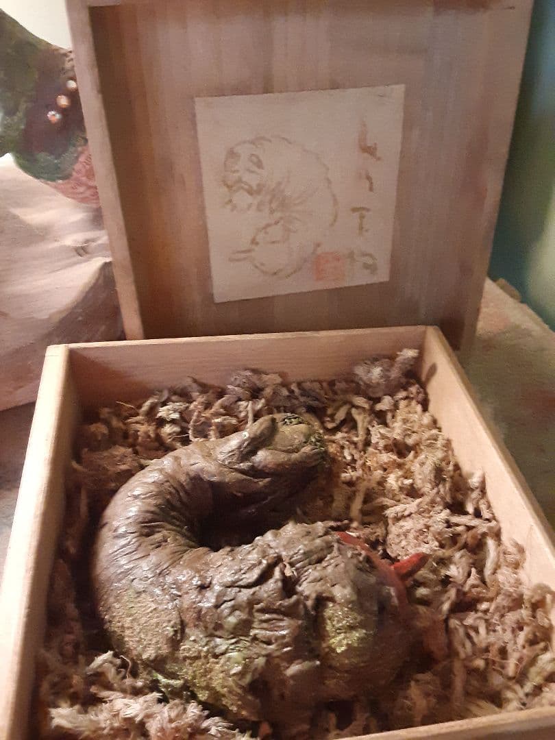 山ノ仙人虫