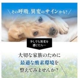 NEVOTON オキシボックスXS 小型ペット用