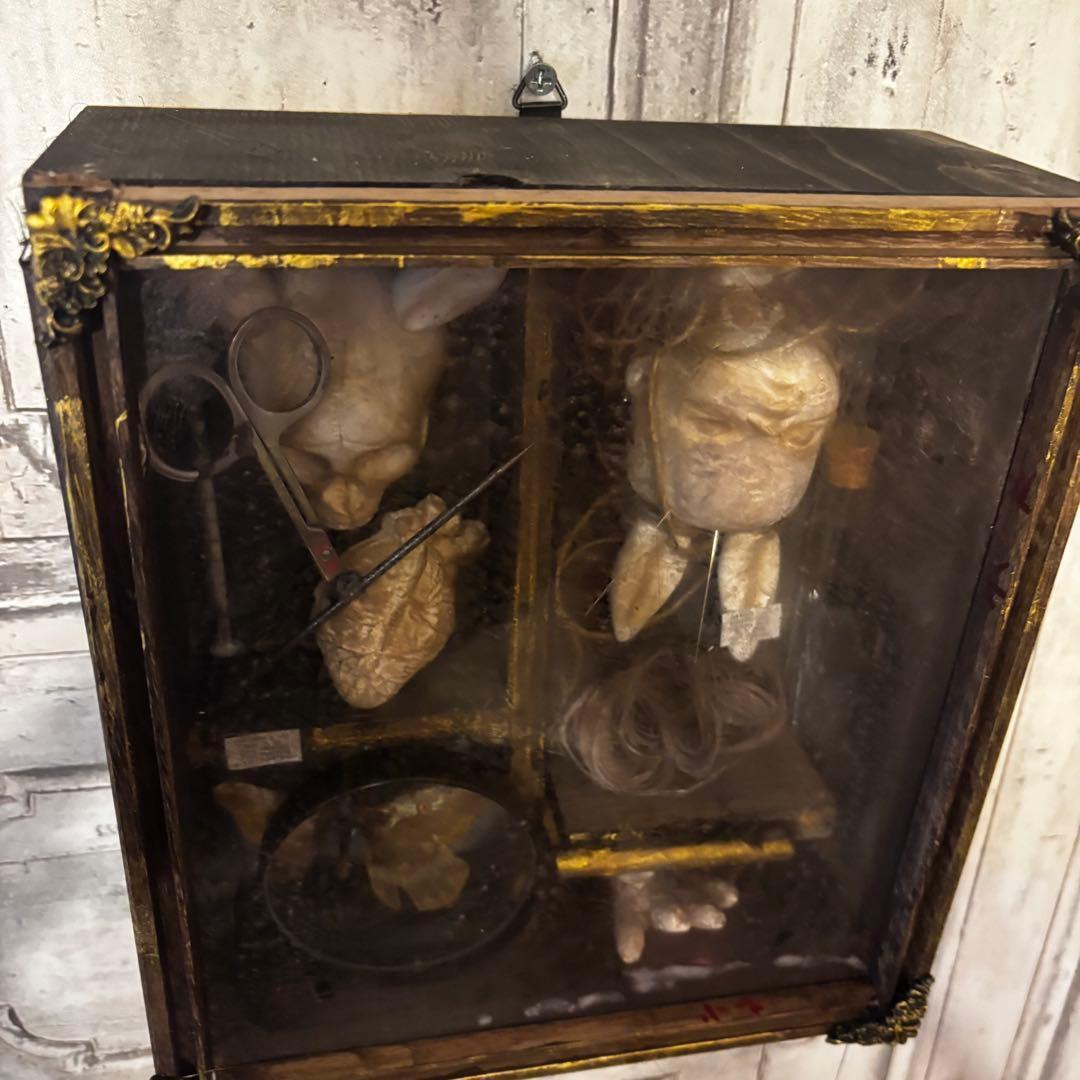 【Special Price】 異端収集者の秘密の標本箱（ウサギ）