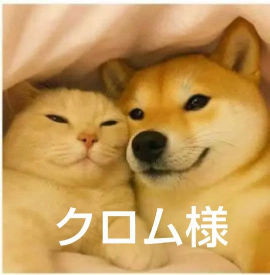 オーダーページ　ハンカチ　3052 柴犬さん　にゃん柄　1/13