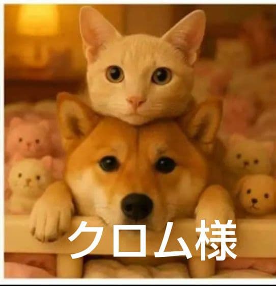 オーダーページ　ハンカチ　3052 柴犬さん　にゃん柄　1/13