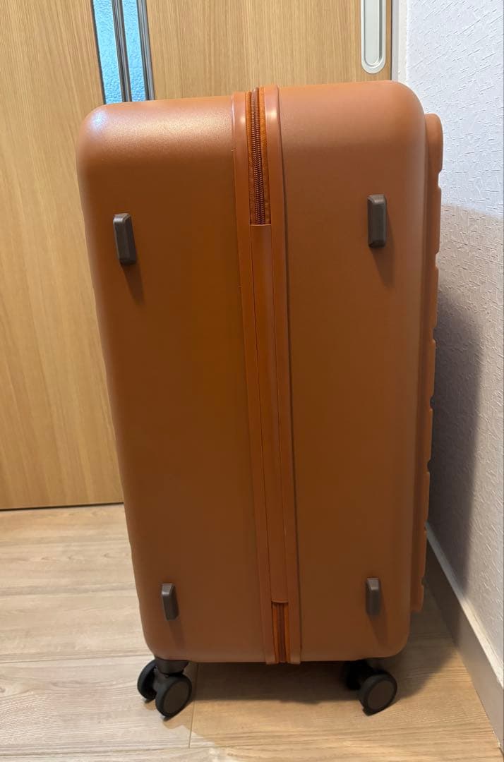 定価の半額‼️【極美品】ACE フレットボード 100L スーツケース