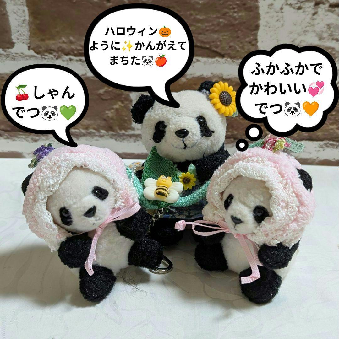 シャオたん♡レイたん♡応援グッズ☆いつも一緒♡さくらんぼ変身コスチューム