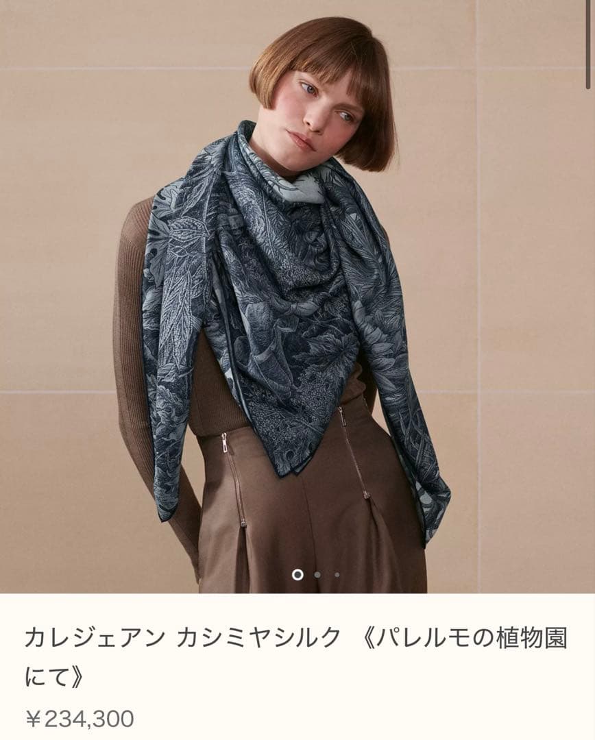 【新品】エルメス カレジェアン カシミヤシルク カシシル パレルモの植物園にて