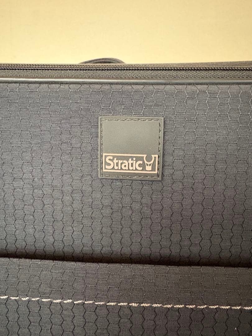ドイツ製 超軽量　キャリーカート stretic