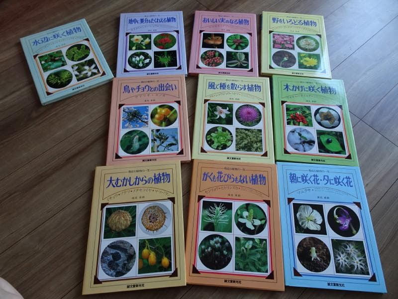 希少な植物図鑑　身近な植物の一生（全10巻）南光重毅著