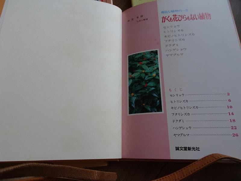 希少な植物図鑑　身近な植物の一生（全10巻）南光重毅著