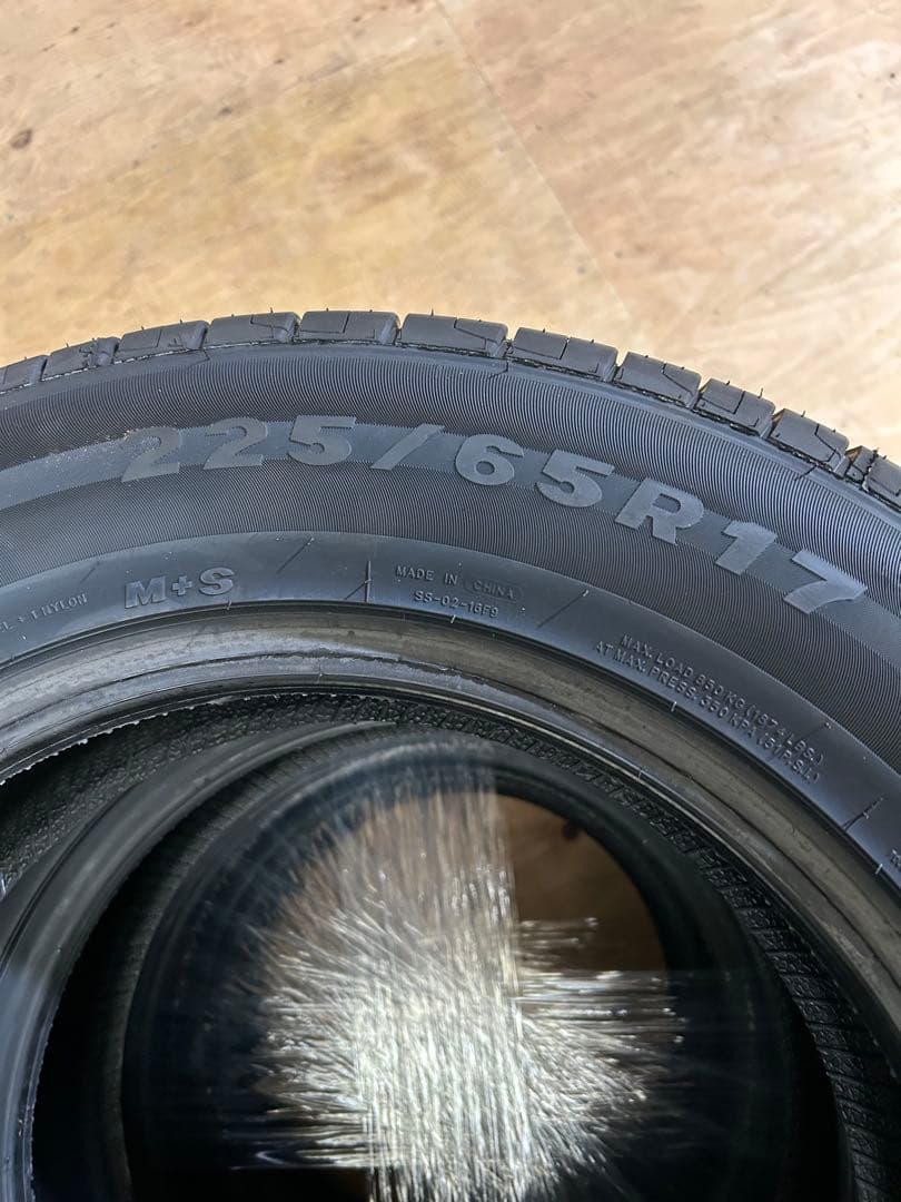 Minerva Ecospeed 2 SUV225/65R17 タイヤ