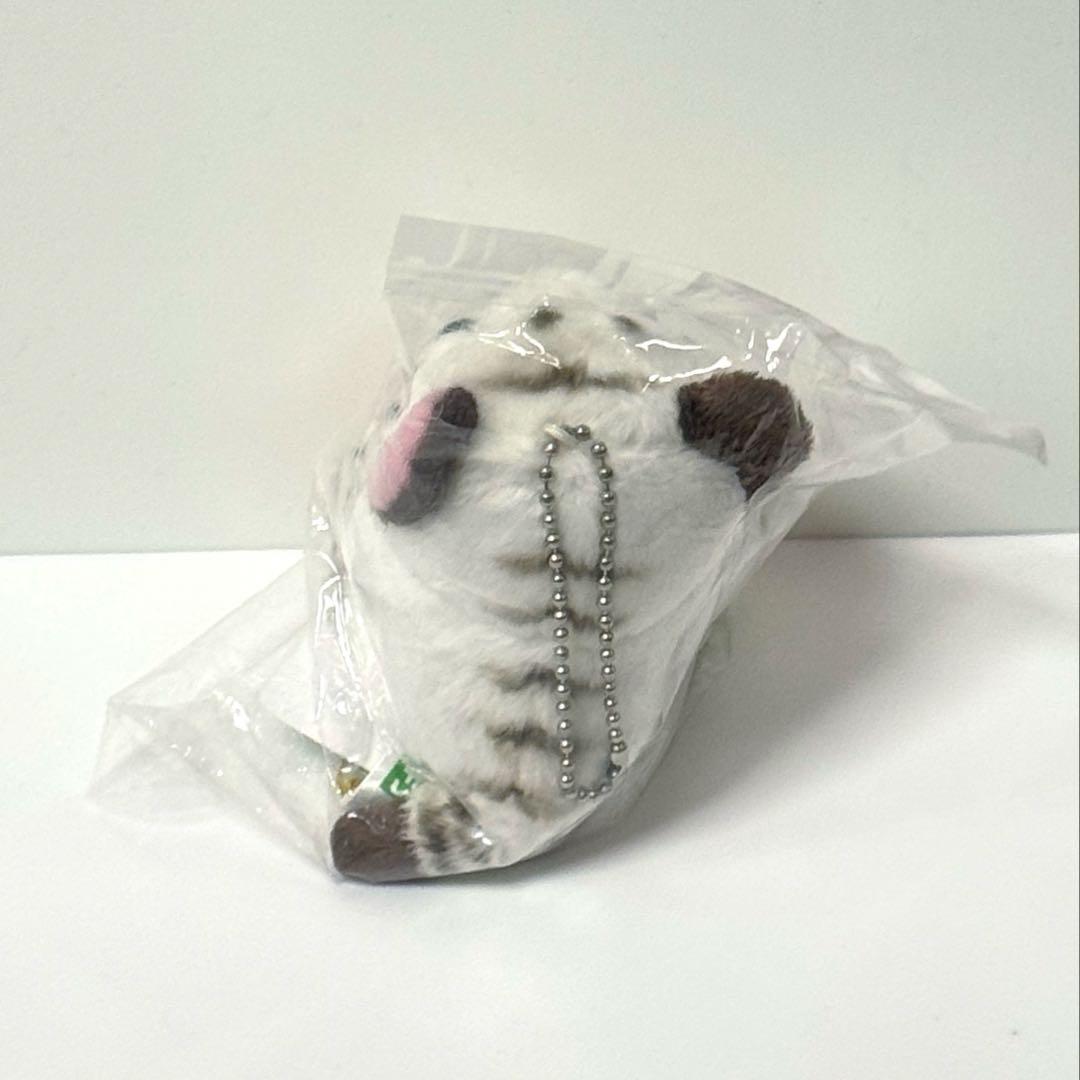 東武動物公園　ホワイトタイガー ぬいぐるみ キーホルダー