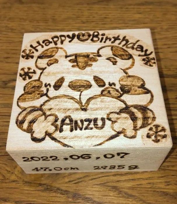 ☆確認用☆へその緒ケース