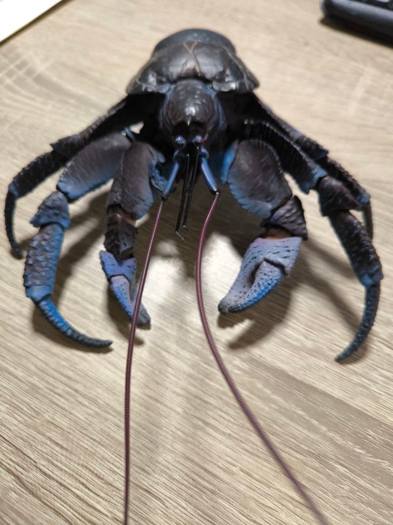 いきもの大図鑑　ヤシガニ