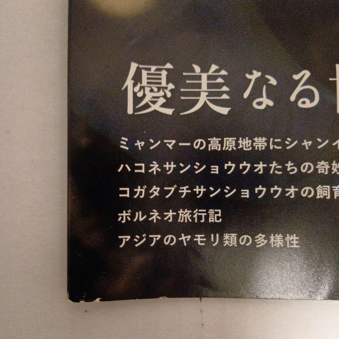 Caudata 創刊号