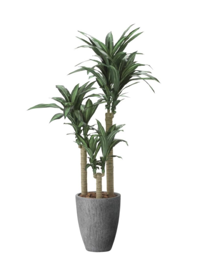 光触媒　人工観葉植物　フェイクグリーンナチュラル幸福の木1.65
