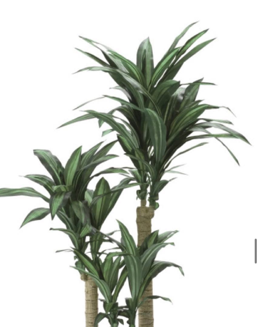 光触媒　人工観葉植物　フェイクグリーンナチュラル幸福の木1.65